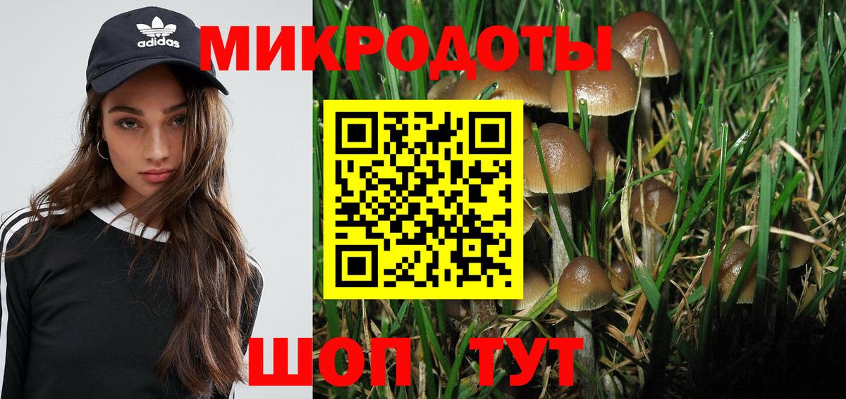 Псилоцибиновые грибы Psilocybe  купить наркотики сайты  Шатура  Вход с VPN  Псилоцибиновые грибы мухоморы 